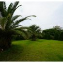 서담미가 이미지