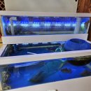 착한낙지 수락산역점 이미지