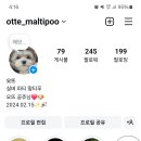 킹스타 PC 이미지