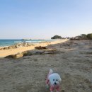 이마트24 양양주공점 | 강원도 양양 겨울 강아지랑 캠핑 갯마을해수욕장 야영장 솔직후기