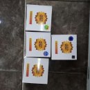 애니카랜드초월점 이미지