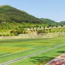 환경자원사업소 축구장 이미지
