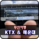 자다앤가다 | [부산여행] KTX & 해운대 & 게하
