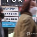 (주)보고여행사 이미지