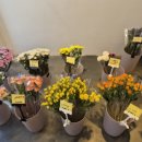 일상의 행복 | ​[내돈내산/청주] 청소년 광장 꽃집 '꽃을 그리다'에서 데려온 일상의 행복