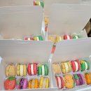 두나네마카롱 | 속초마카롱 좋아하는 분들께 추천하는 두나네마카롱 후기