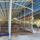 현애리농장 이미지