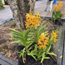 동아행정사 사무소 이미지