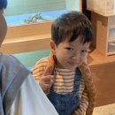 신기세천 이미지