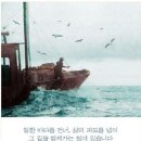 이미지광고 이미지