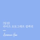 오토어썸 이미지