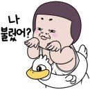 땡큐보일러;설비
