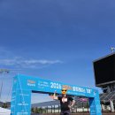 거제시농업기술센터 | 260308 MBN 거제 하프 마라톤 후기