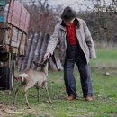 수원시립노인전문요양원 | 파장동요양원 수원시립노인전문요양원 편안한 노후를 위한