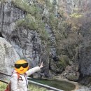 폭포 | 주왕산 당일 산행 코스 · 용추폭포 등산 후기