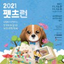 한국동물실용전문학교 이미지