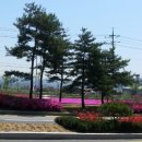 보개우체국앞 이미지