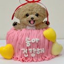 댕댕특별시 이미지