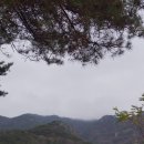 금오사 이미지
