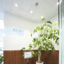 (주)에스엠토탈