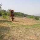 까치고개 표지석 이미지