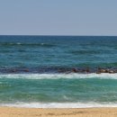 우리집 한뚝배기 이미지