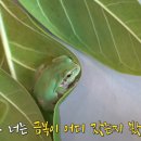 금복농장 네이버블로그