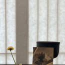 민들레한의원 | [차회후기] 진료실 옆 차실에서 피워낸 고요한 우주, 민들레 차회