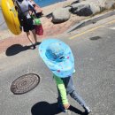 오동나무민박 이미지