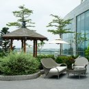 도깨비게임장 | 다낭 미카즈키 리조트 히노데 패밀리 워터파크 온천 굿