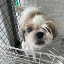 원창119안전센터 이미지