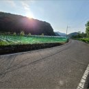 영천시화남면안천보건진료소 | [영천시 토지(답)경매] 화남면 안천리 토지(답) (2021타경106371)