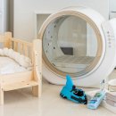 엘시아 애견풀빌라 이미지