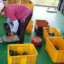 다정이네 이미지