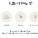 제이나인 이미지