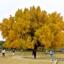 (주)은행나무 이미지