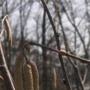 새봄농장(3) 이미지