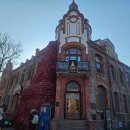 꿈꾸는 자작나무 이미지