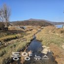 추동천 이미지