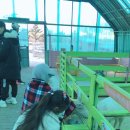 예안농장 이미지