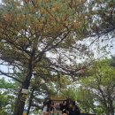 칠보산 등산로 이미지