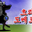 주식회사 에쓰디 이미지