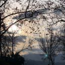 세비야 | 세비야 론다 당일치기 투어 내돈내산 후기 버스 이동 방법