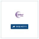 C.L 코리아
