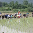 광주동초교충효분교 이미지