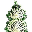 봉암동292 이미지