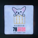 개꿀잼 애견카페 이미지