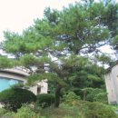 판문동-2 이미지