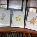 중리롯데 작은도서관 이미지