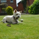 화이트동물병원 이미지